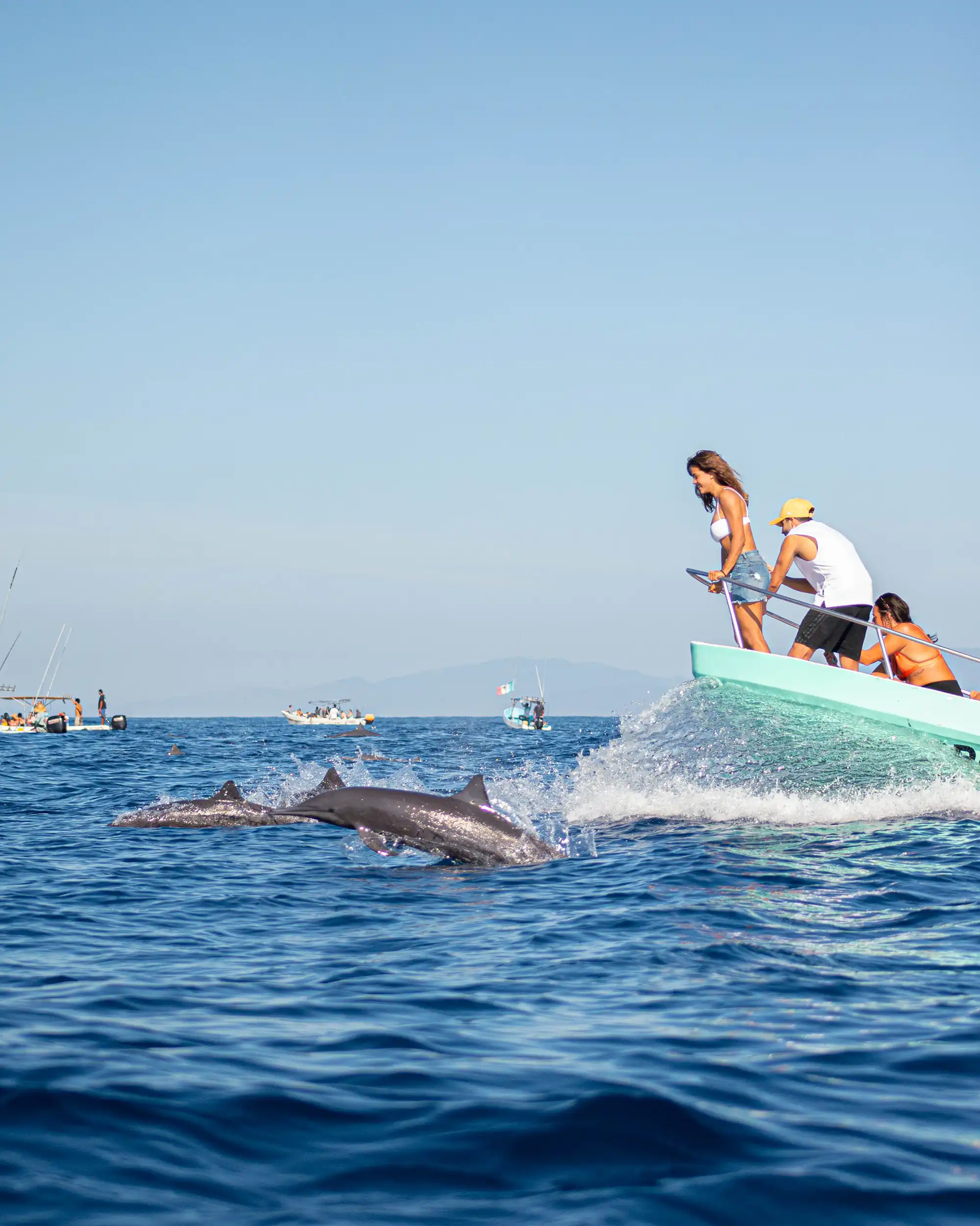 Delfines tour en Puerto Escondido, Oaxaca
