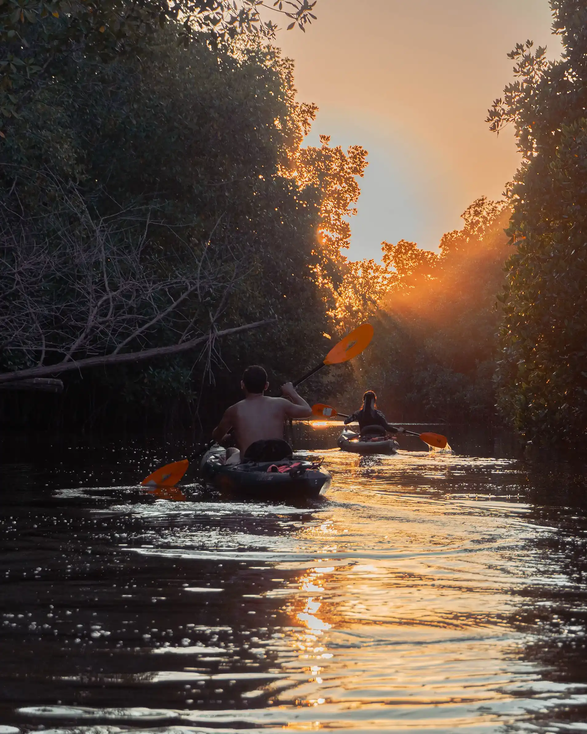 kayaking in puerto escondido oaxaca