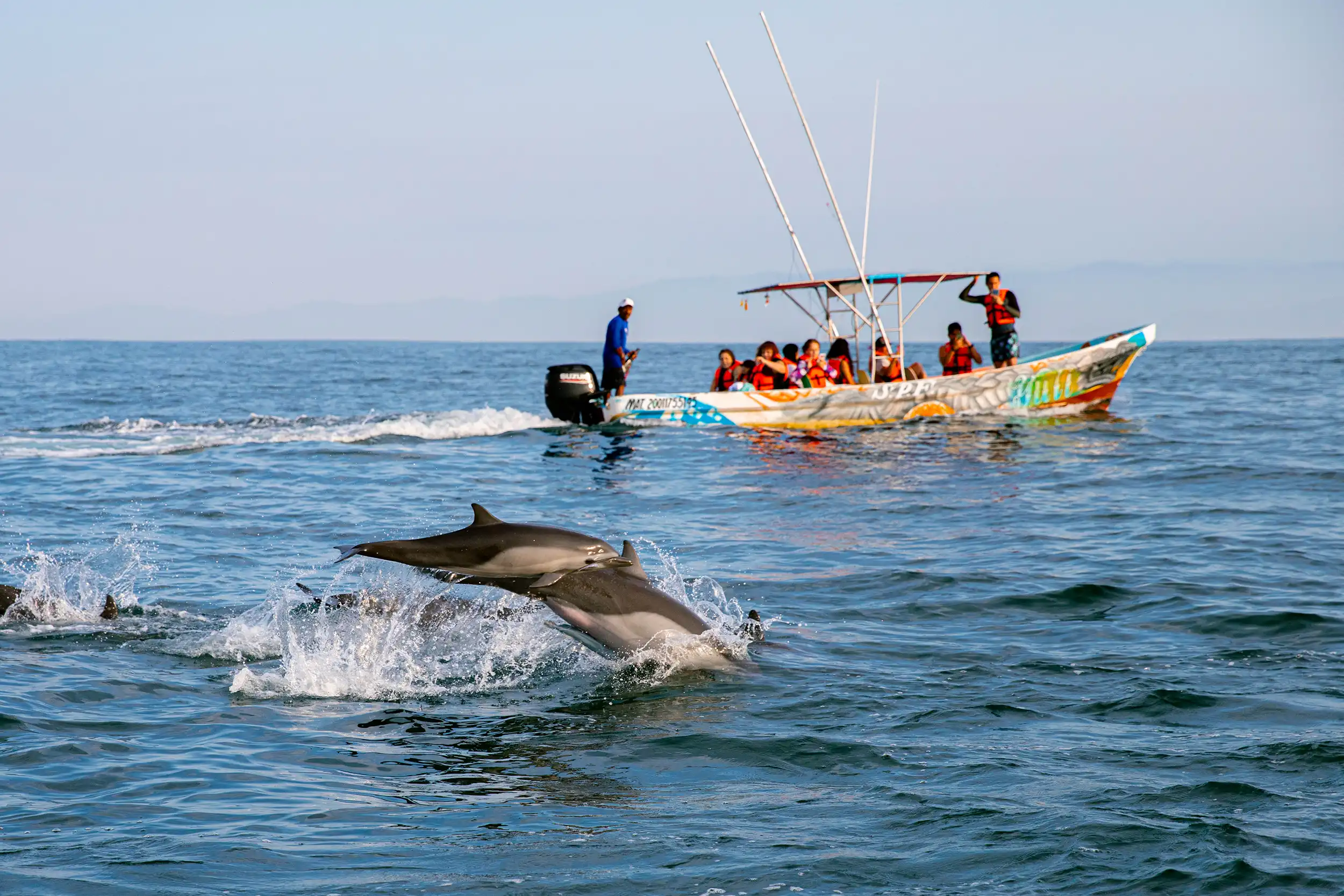 private boat tours puerto escondido