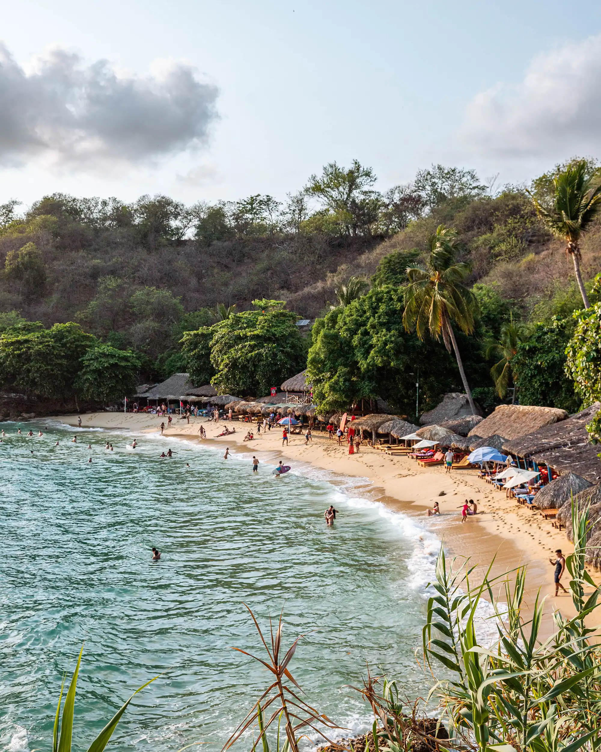 Dolphin watching tour in Puerto Escondido