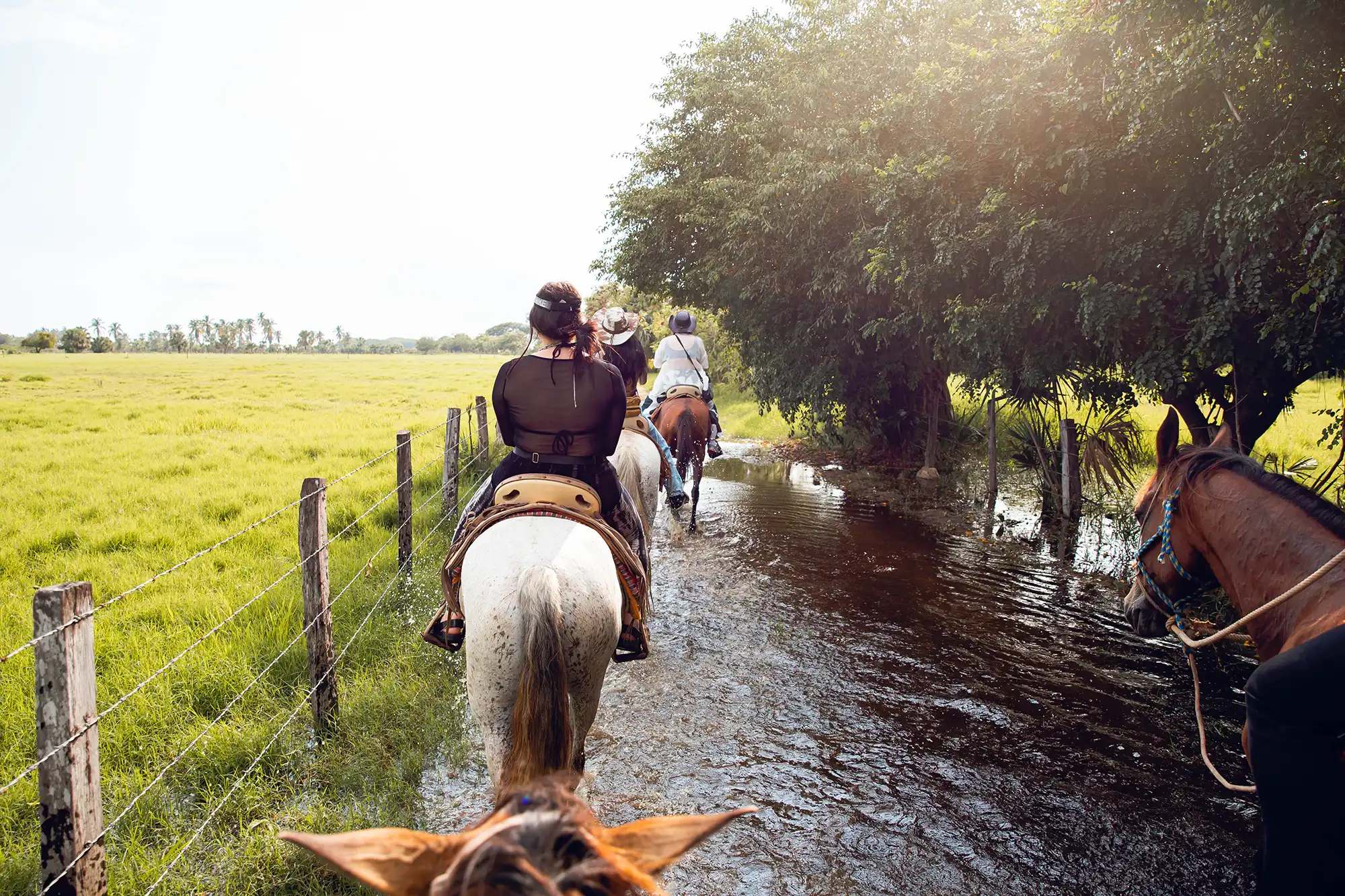 horseback riding in puerto escondido