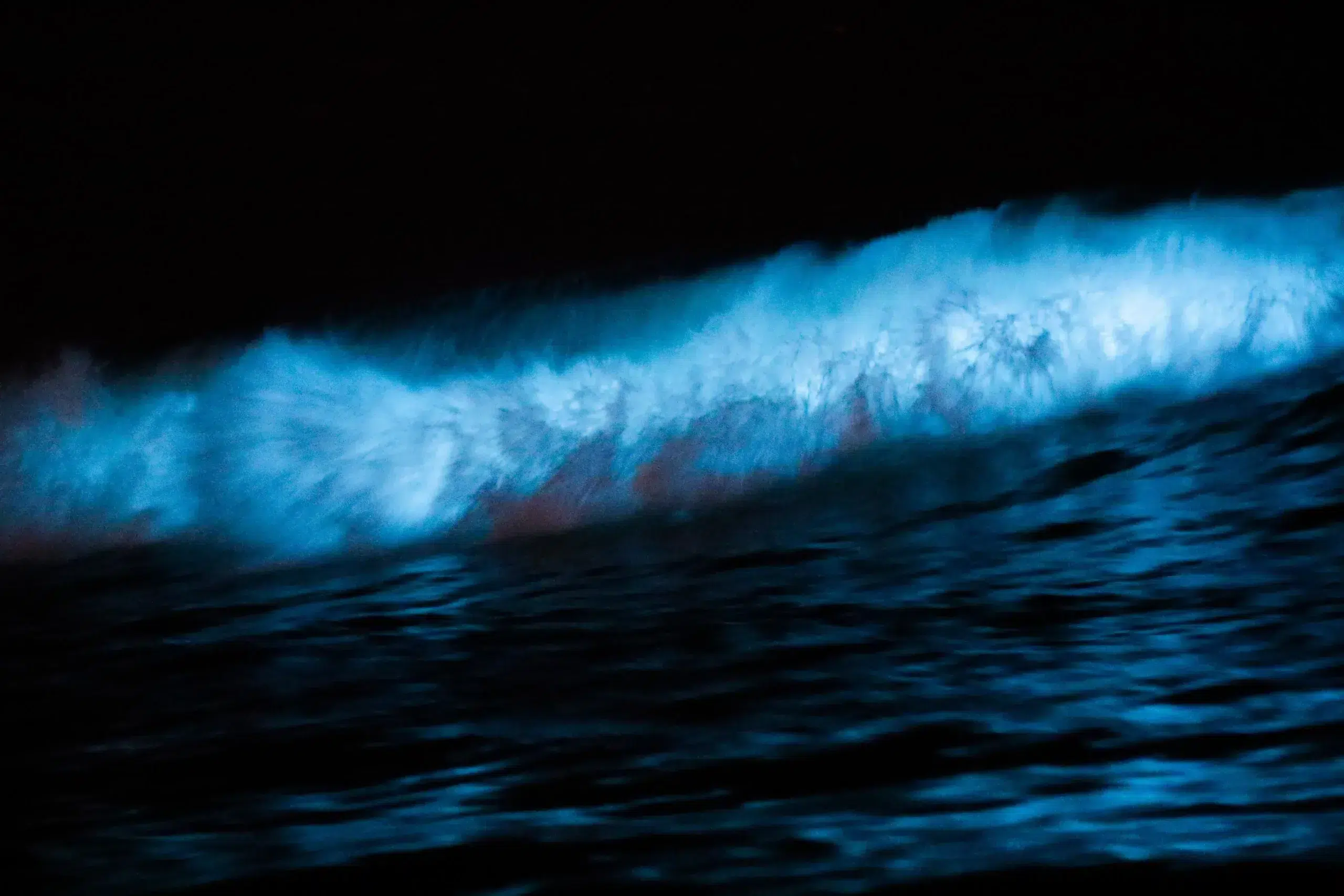 Bioluminiscencia en Puerto Escondido: guía completa para visitar la Laguna de Manialtepec 1 Destellos de bioluminiscencia en el agua de la Laguna de Manialtepec, Puerto Escondido