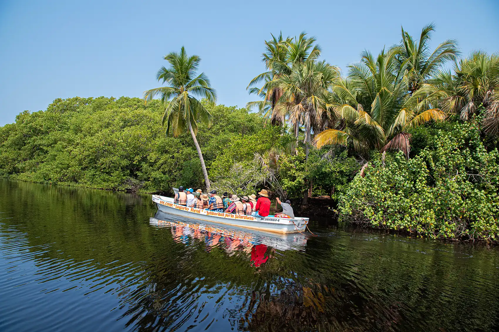 Excursión La Experiencia Oaxaca Definitiva