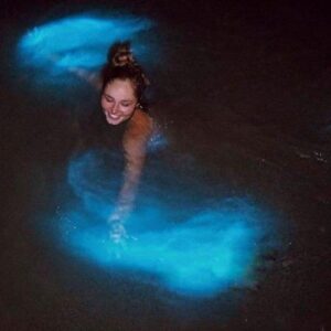 Bioluminescence Night Tour