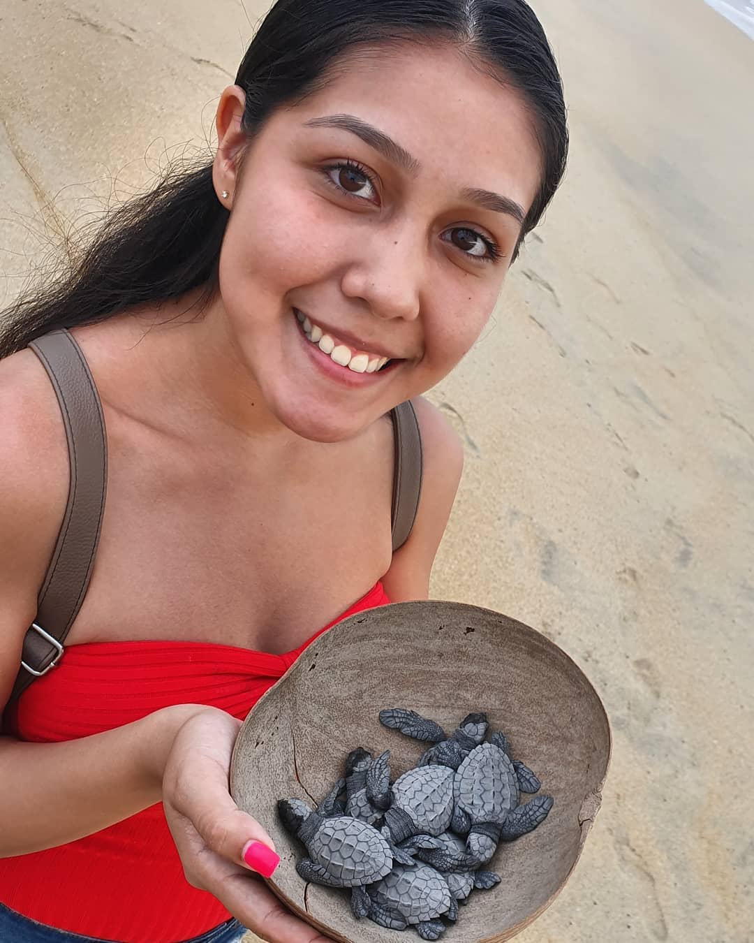 LIBERACION DE TORTUGAS 16