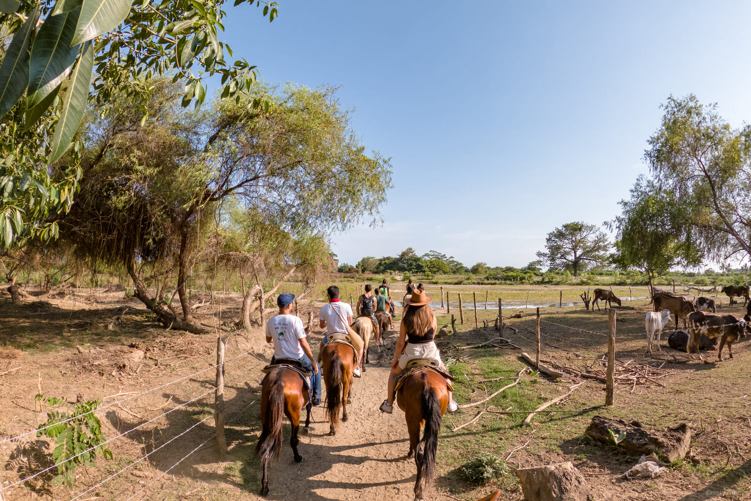 Cabalgatas en Puerto Escondido